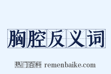 胸腔反义词是什么意思的图片